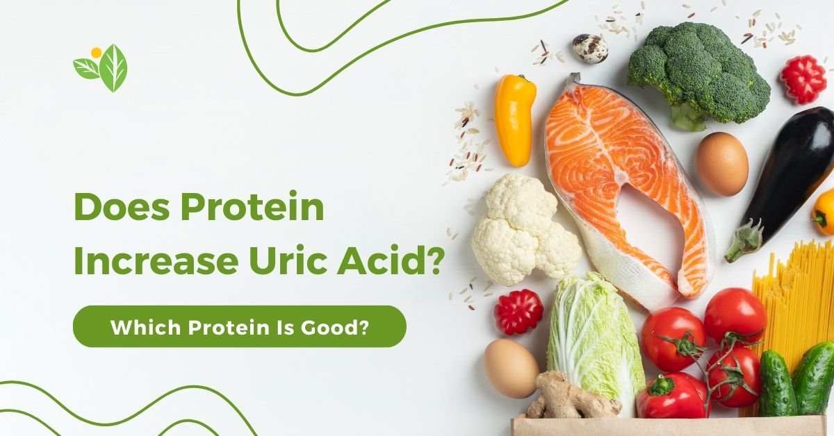 Does Protein Increase Uric Acid And Which Protein Is Good? | O-Lab