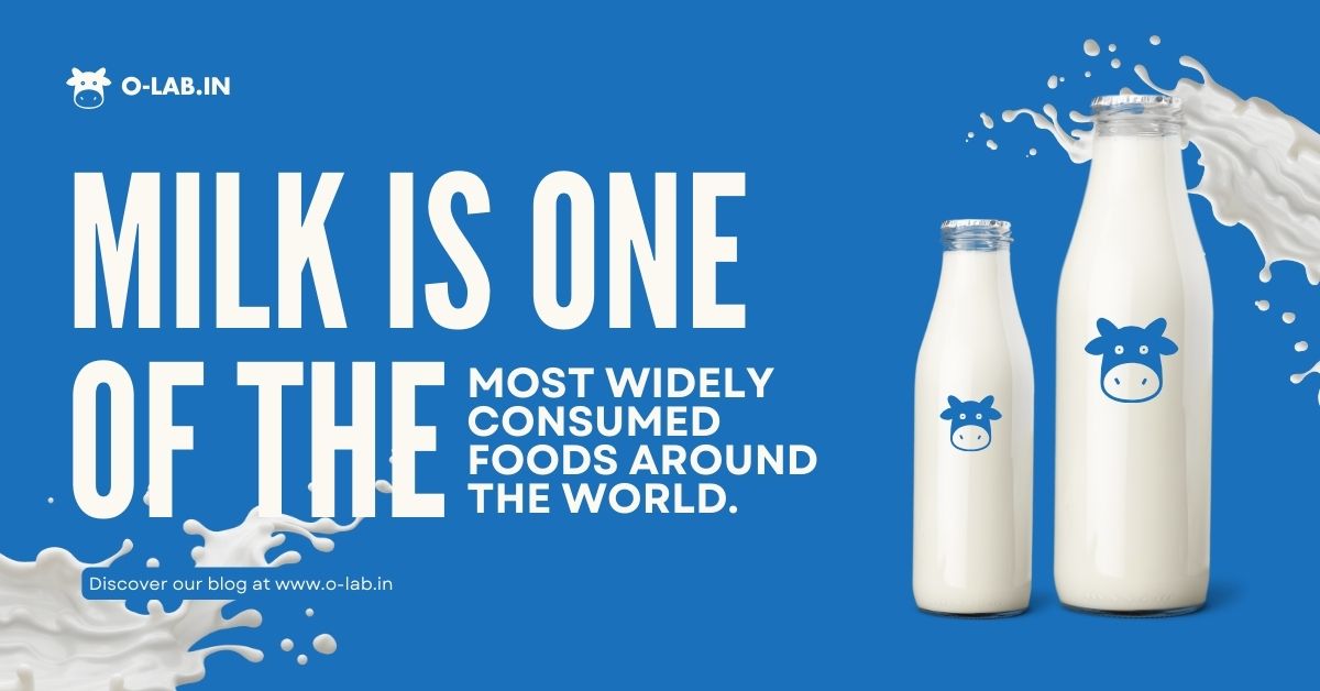 How Much  Calories And Protein In 500 ML Milk? | O-Lab