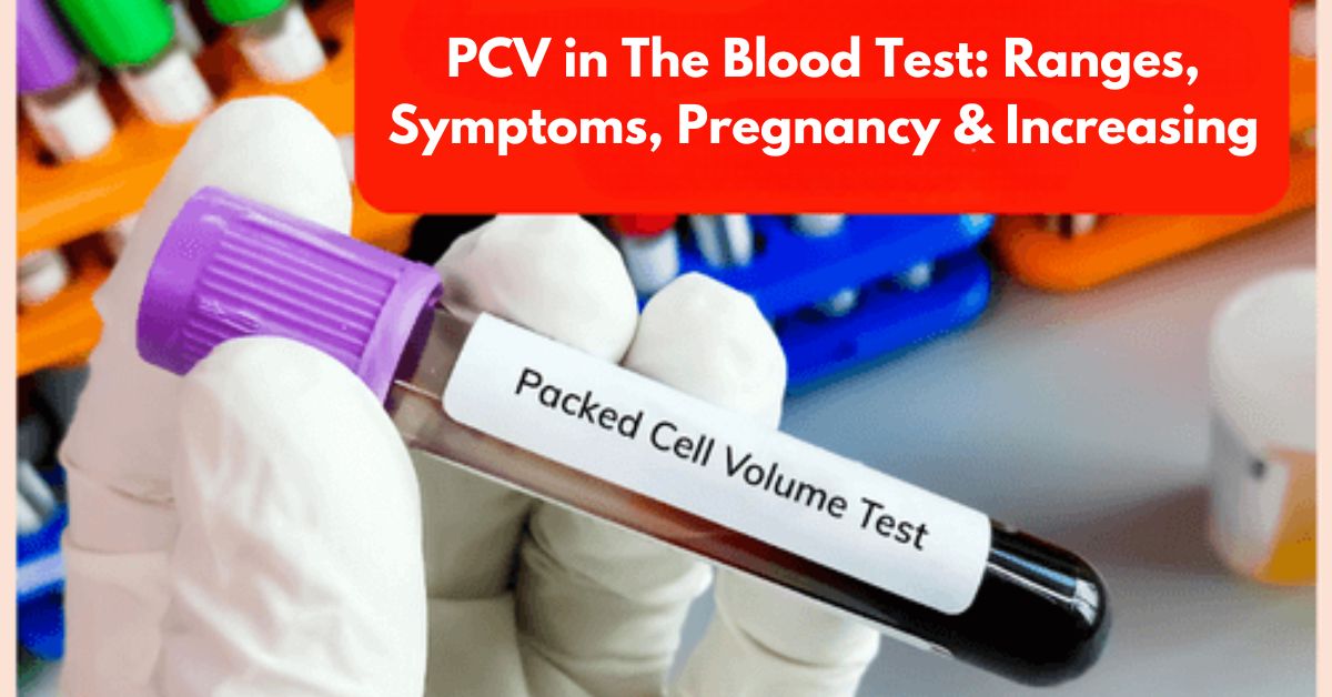 PCV in The Blood Test: Ranges, Symptoms, Pregnancy & Increasing | O-Lab