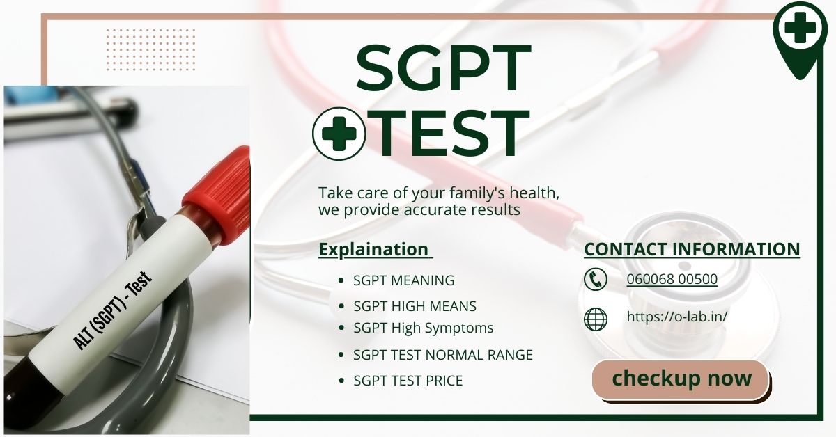 Danger Level Of SGPT And SGOT: Symptoms, High And Normal Range | O-Lab