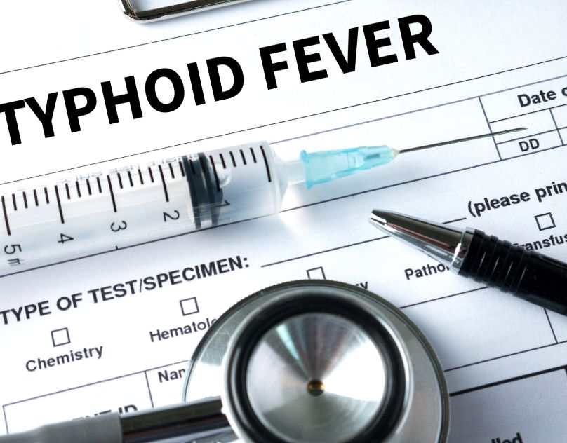 What is Typhoid Fever- Causes, Symptoms, Diagnosis and Treatment | O-Lab