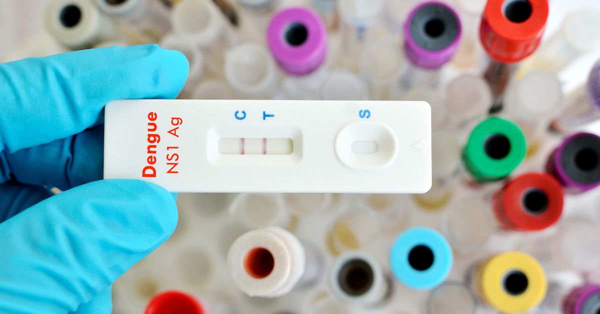 Dengue Testing: ELISA, Price, Platelets, Prevention | O-Lab