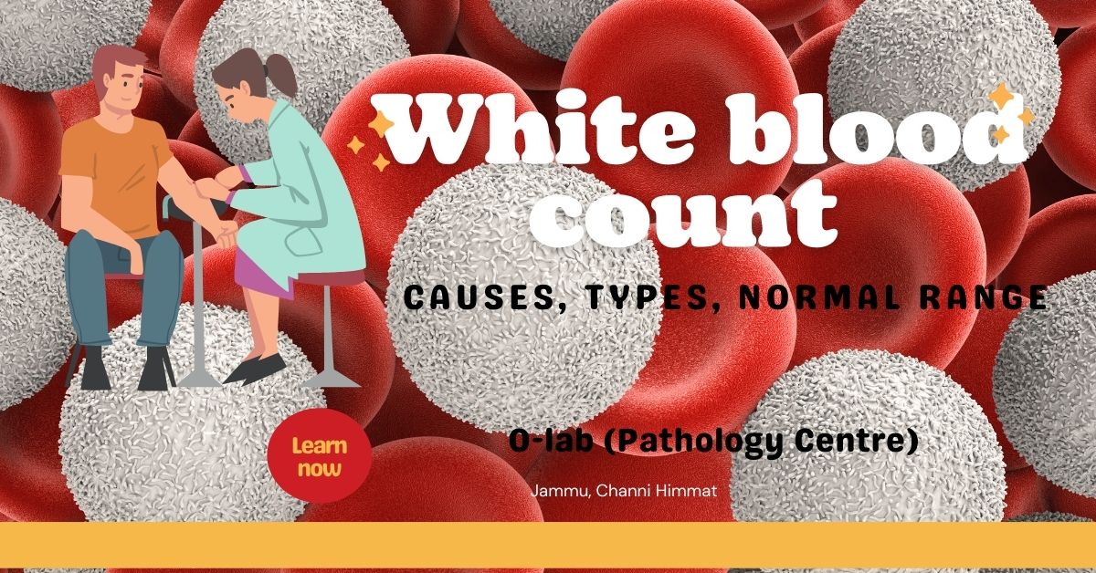 White Blood Cell Count High Causes, 5 Types, and Normal Range in Female or Male | O-Lab
