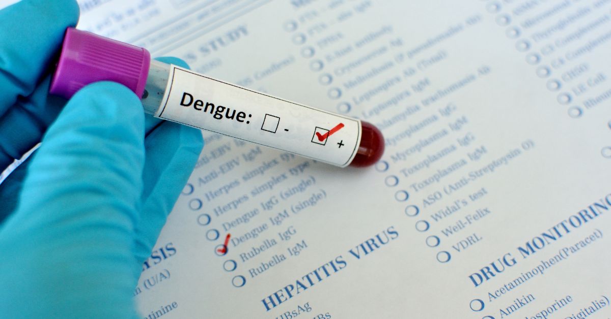 7 Warning Signs of Dengue: How do you know you are infected? | O-Lab