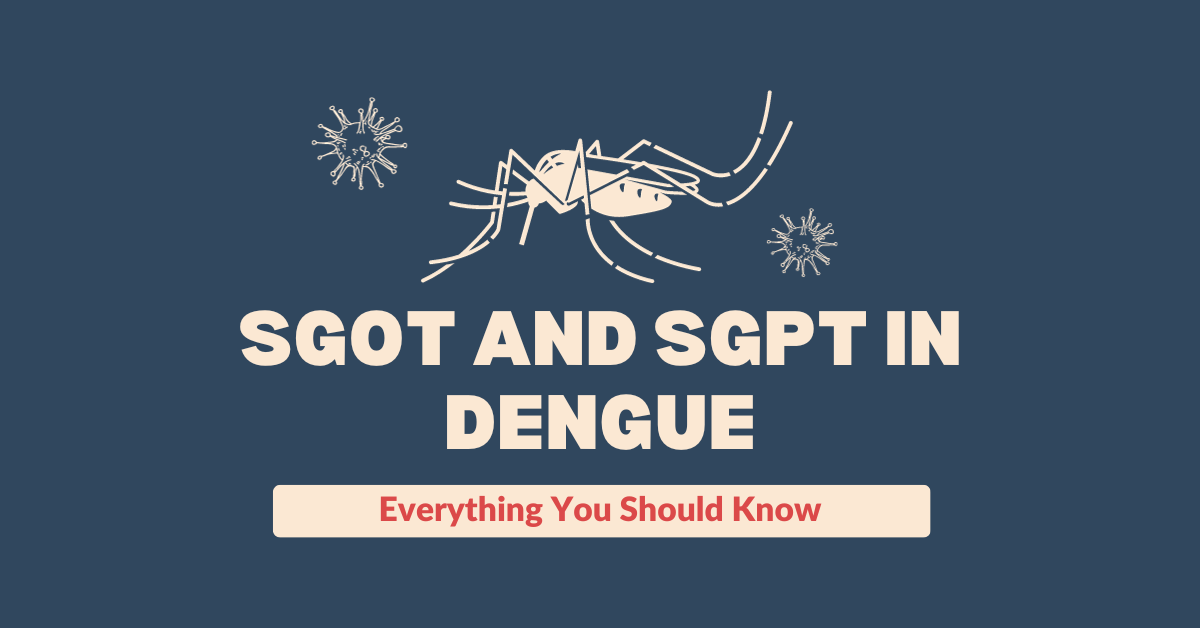 SGOT And SGPT in Dengue: Everything You Should Know | O-Lab